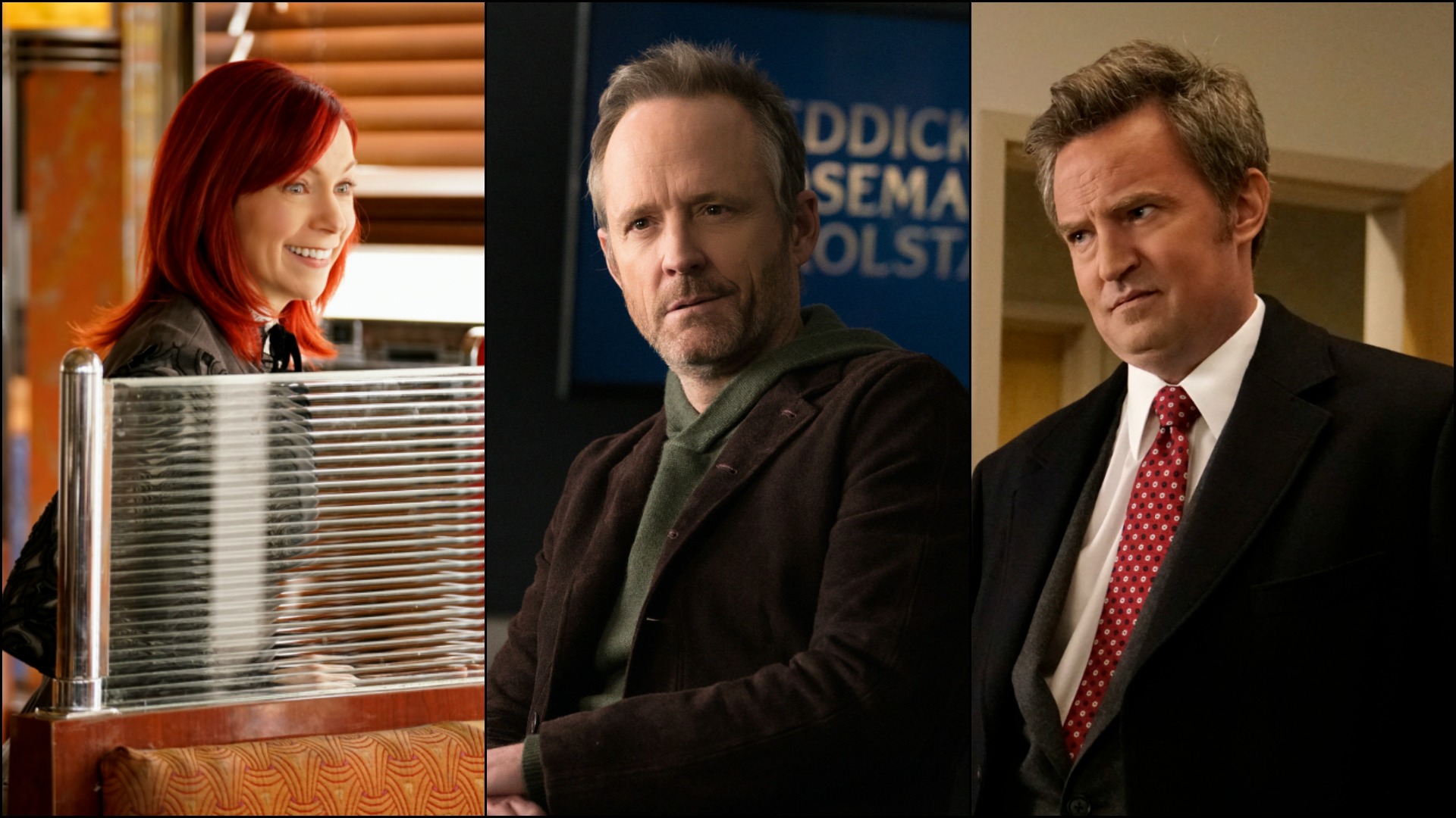 Take a look back at the guest stars who joined The Good Fight