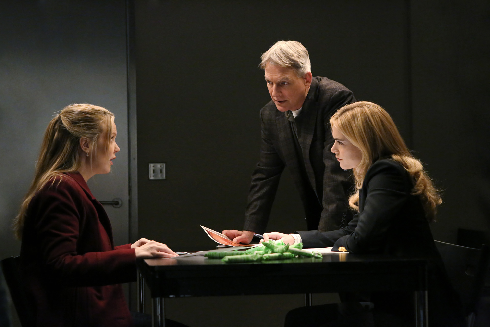 Season 11 Episode 15 - NCIS