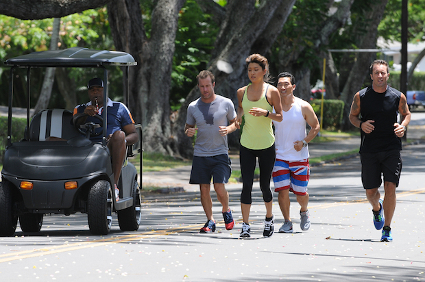 Chi McBride as Captain Lou Grover, Scott Caan as Danny