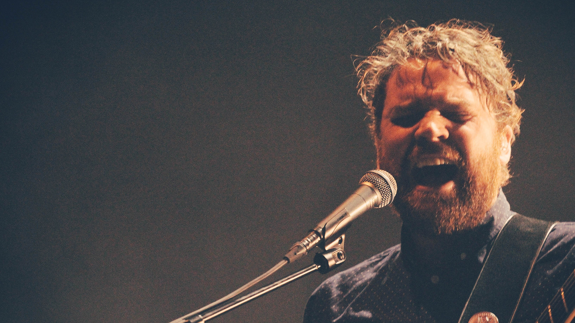Frightened Rabbit