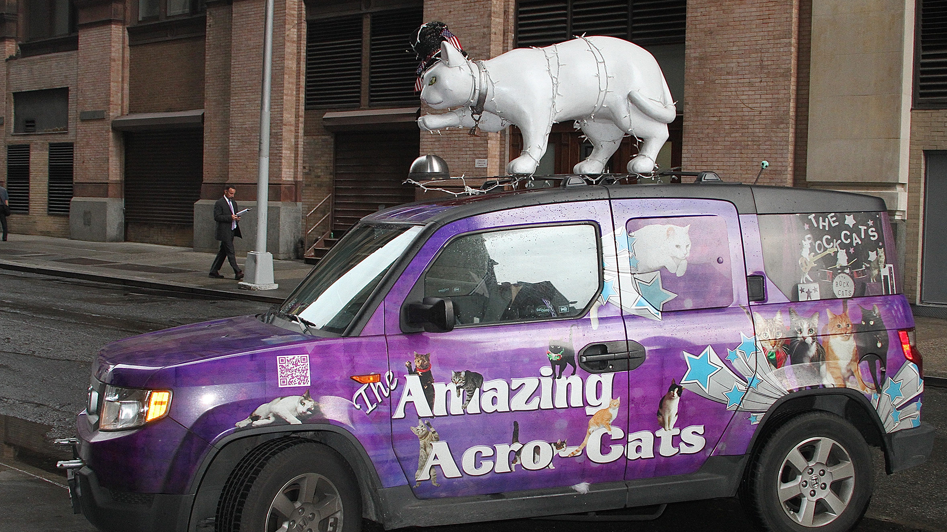 The Acro-Cats