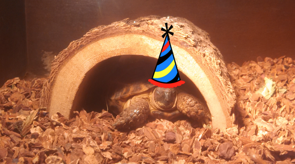 7. He makes for a great birthday card
