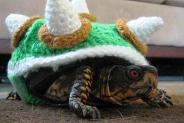 6. He can dress up his shell