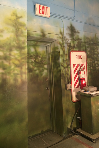 Camo Exit