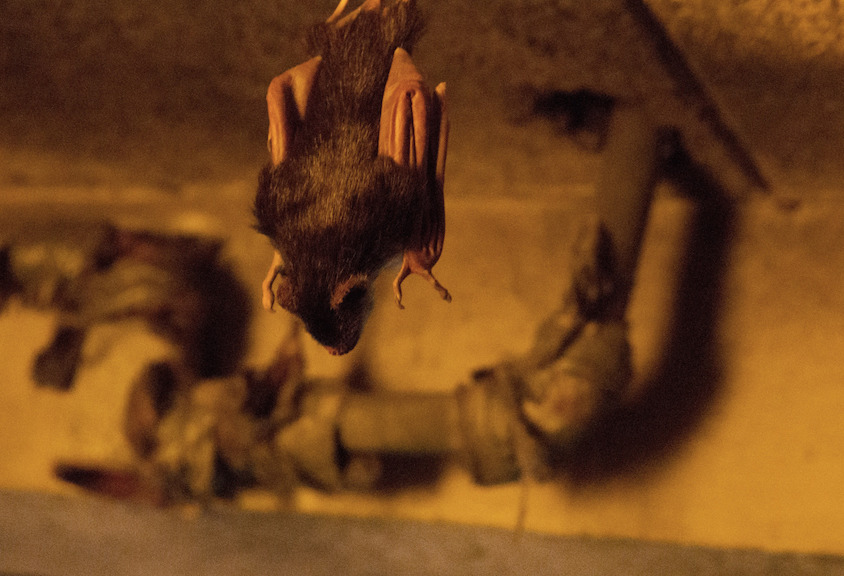 Just hanging out.