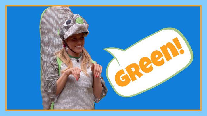 Question: What color was Shelli's squirrel costume during this week's POV competition?