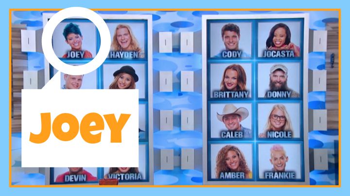 Question: Which former BB Houseguest on the Memory Wall had blue hair?