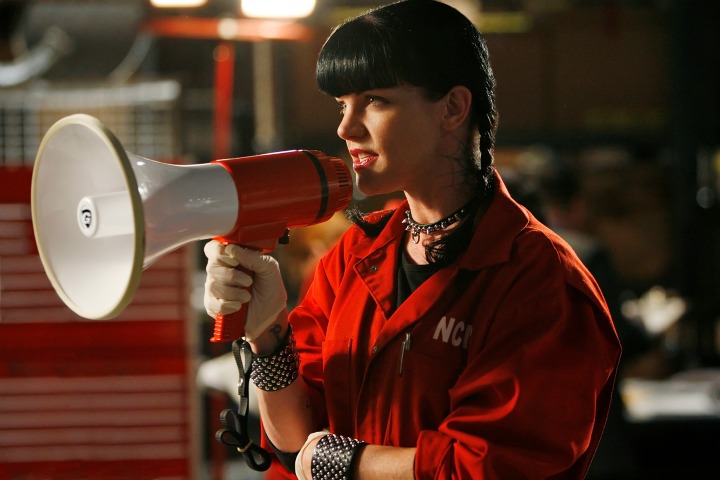 abby's hippo on ncis