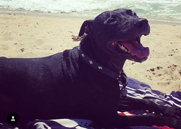 You're no Hasselhoff. Put your shirt back on.
