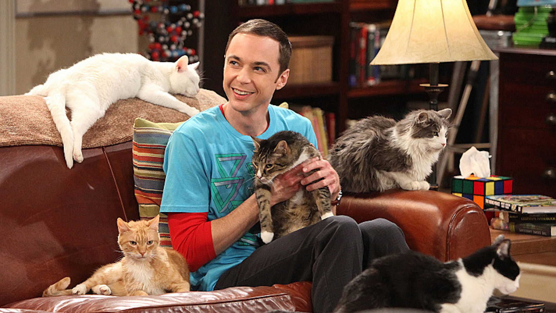 How Well Do You Know The Big Bang Theory's Jim Parsons 