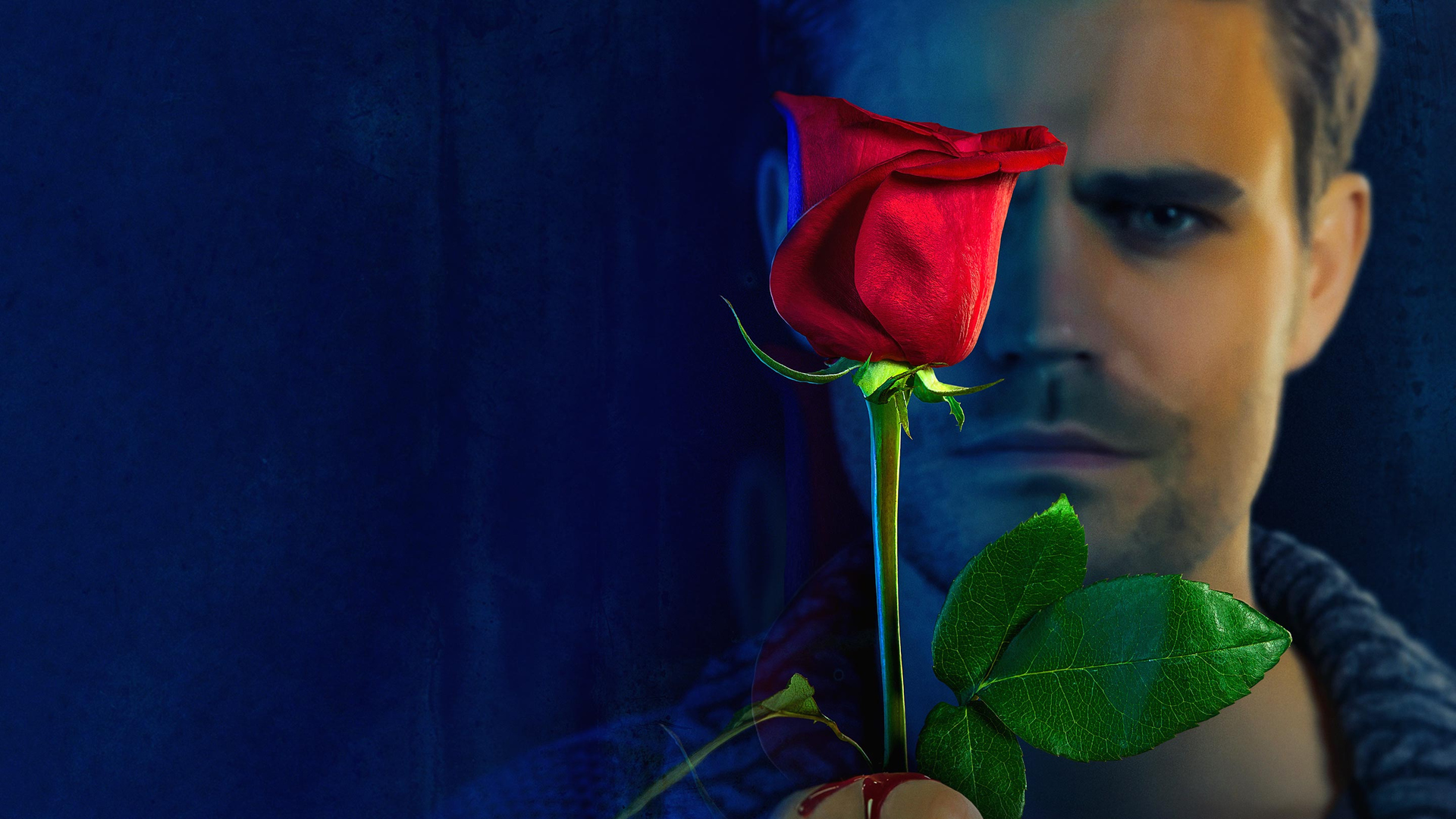 Cbs Tv Network Primetime Daytime Late Night And Classic