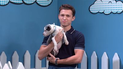 Tom Holland Joins Stephen Colbert For Rescue Dog Rescue: Superhero Edition