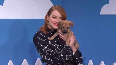 Emma Stone Wants You To Rescue A Puppy From Hurricane Florence